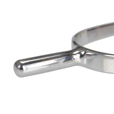 Éperons Prince of Wales Equestro