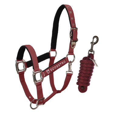 Halfter und Führstrick Equestro