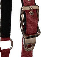 Halfter und Führstrick Equestro Schwarz Halfter und Führstrick Equestro Schwarz