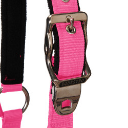 Halfter und Führstrick Equestro Fuchsie Rosa