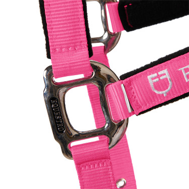 Halfter und Führstrick Equestro Fuchsie Rosa