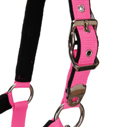 Halfter und Führstrick Equestro Fuchsie Rosa