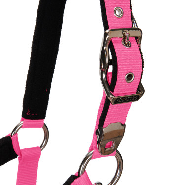 Halfter und Führstrick Equestro Fuchsie Rosa