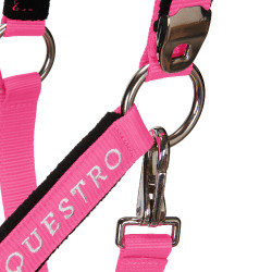 Halfter und Führstrick Equestro Fuchsie Rosa