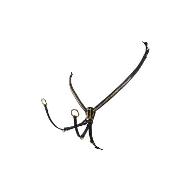 Brustblatt aus Leder mit Messing-Clinchern Equestro Schwarz