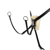 Brustgeschirr mit 5 Punkten Salome mit Magic-System Equestro Dunkelbraun Brustgeschirr mit 5 Punkten Salome mit Magic-System Equestro Dunkelbraun