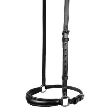 Trense mit deutschem Reithalfter Equestro Schwarz