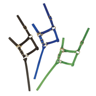 Nylon-Fohlenhalfter Nylon-Fohlenhalfter