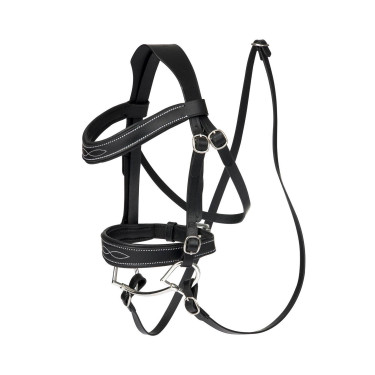 Wettkampfzaum LeMieux für Hobby Horse Wettkampfzaum LeMieux für Hobby Horse