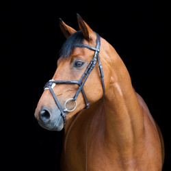 Trense mit kombiniertem Reithalfter Prescott Horze Trense mit kombiniertem Reithalfter Prescott Horze