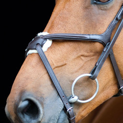 Trense mit kombiniertem Reithalfter Prescott Horze Trense mit kombiniertem Reithalfter Prescott Horze