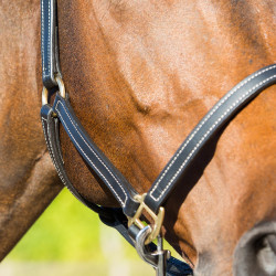 Fremont Lederhalfter Horze Fremont Lederhalfter Horze