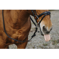 Gummizügel Norton Training PVC Gummizügel Norton Training PVC