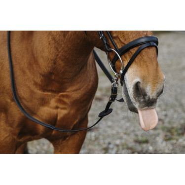 Gummizügel Norton Training PVC Gummizügel Norton Training PVC
