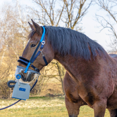 Kabelloser Ultraschall-Inhalator für Pferde AirOne Flex Hippomed Kabelloser Ultraschall-Inhalator für Pferde AirOne Flex Hippomed