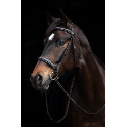 Trensenzaum Hunter 2 HKM Dunkelbraun