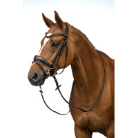 Bridon Ira HKM Braun Bridon Ira HKM Braun