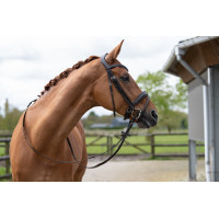 Bridon Ira HKM Braun Bridon Ira HKM Braun