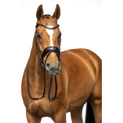 Bridon Ira HKM Schwarz