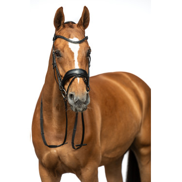 Bridon Ira HKM Schwarz