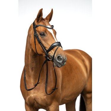 Bridon Ira HKM Schwarz