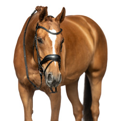 Bridon Ira HKM Schwarz