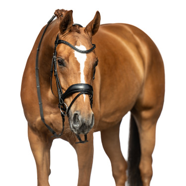 Bridon Ira HKM Schwarz