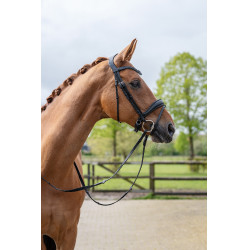 Bridon Ira HKM Schwarz