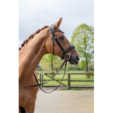 Bridon Ira HKM Schwarz