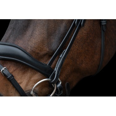 Bridon Ira HKM Schwarz