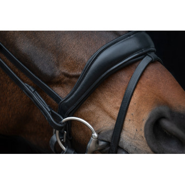 Bridon Ira HKM Schwarz