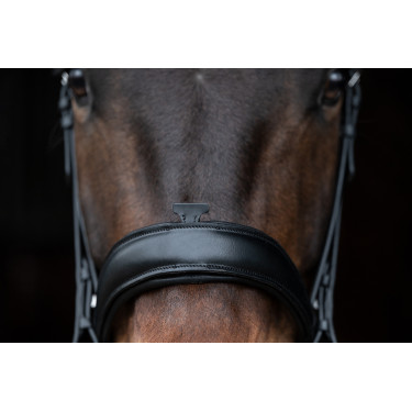 Bridon Ira HKM Schwarz