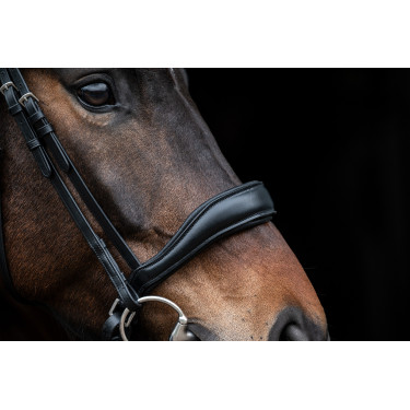 Bridon Ira HKM Schwarz