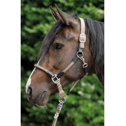 Halfter Carlotta HKM Halfter Carlotta HKM
