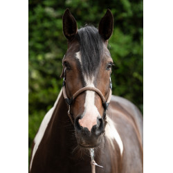 Halfter Carlotta HKM Halfter Carlotta HKM