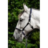 Halfter Carlotta HKM Dunkelblau