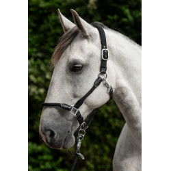 Halfter Carlotta HKM Schwarz