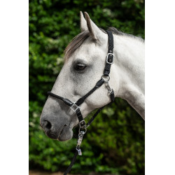 Halfter Carlotta HKM Schwarz