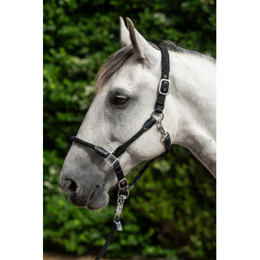 Halfter Carlotta HKM Schwarz