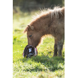 Star-Set Cuddle Pony HKM Rosen Sterne Star-Set Cuddle Pony HKM Rosen Sterne