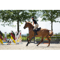 Elisa Schabracke HKM Hellrosa