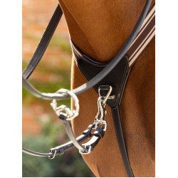 Elastischer Vorderzeug Arika LeMieux Braun / Silber