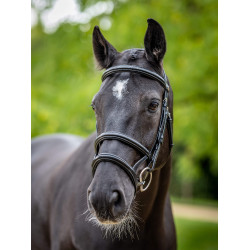 Doppelzaum LeMieux Kudos Schwarz / Silber