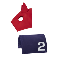 Tapis et masque en lycra LeMieux pour jouet Mini Poney