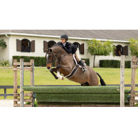 Schabracke Hunter LeMieux Merino+ Weiß / weiß Weiß Schabracke Hunter LeMieux Merino+ Weiß / weiß Weiß