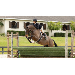 Schabracke Hunter LeMieux Merino+ Weiß / weiß Weiß Schabracke Hunter LeMieux Merino+ Weiß / weiß Weiß