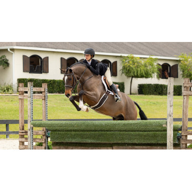 Schabracke Hunter LeMieux Merino+ Schabracke Hunter LeMieux Merino+