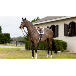 Schabracke Hunter LeMieux Merino+ Weiß / weiß Weiß Schabracke Hunter LeMieux Merino+ Weiß / weiß Weiß