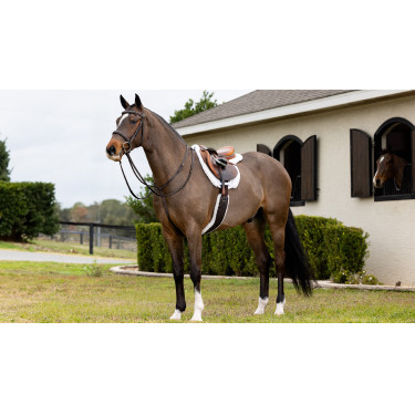 Schabracke Hunter LeMieux Merino+ Schabracke Hunter LeMieux Merino+