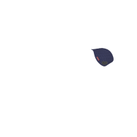 Satteldecke für Spielzeug-Mini-Pony LeMieux Chilli Rot Satteldecke für Spielzeug-Mini-Pony LeMieux Chilli Rot